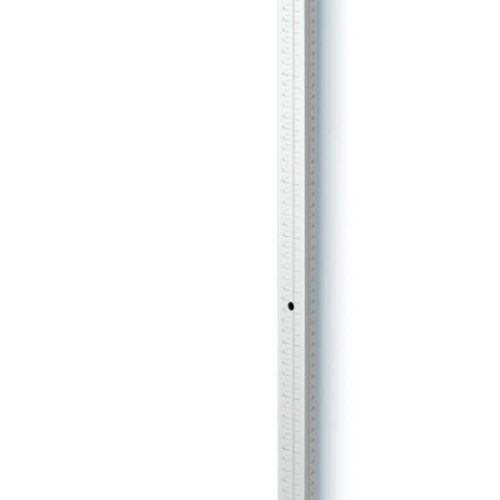 TOISE MURALE TÉLÉSCOPIQUE SECA 222