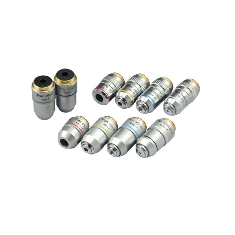 Microscope biologique MSC-B102T(Siedentopf) – Image 2